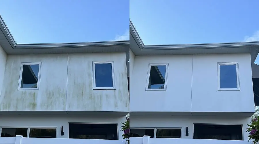 House washing algae removal stucco Orlando FL before after
